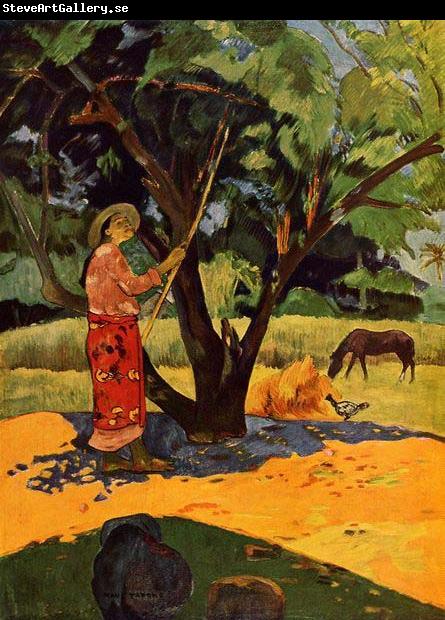 Paul Gauguin Picking Lemons